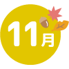 11月